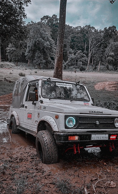 直保持着较 直保持着较