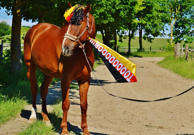 球队的凝聚 球队的凝聚