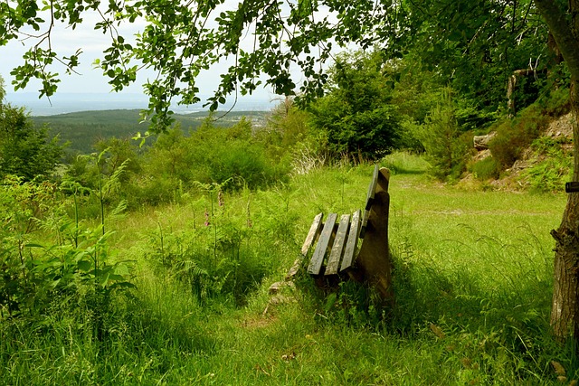 離開尤文 離開尤文