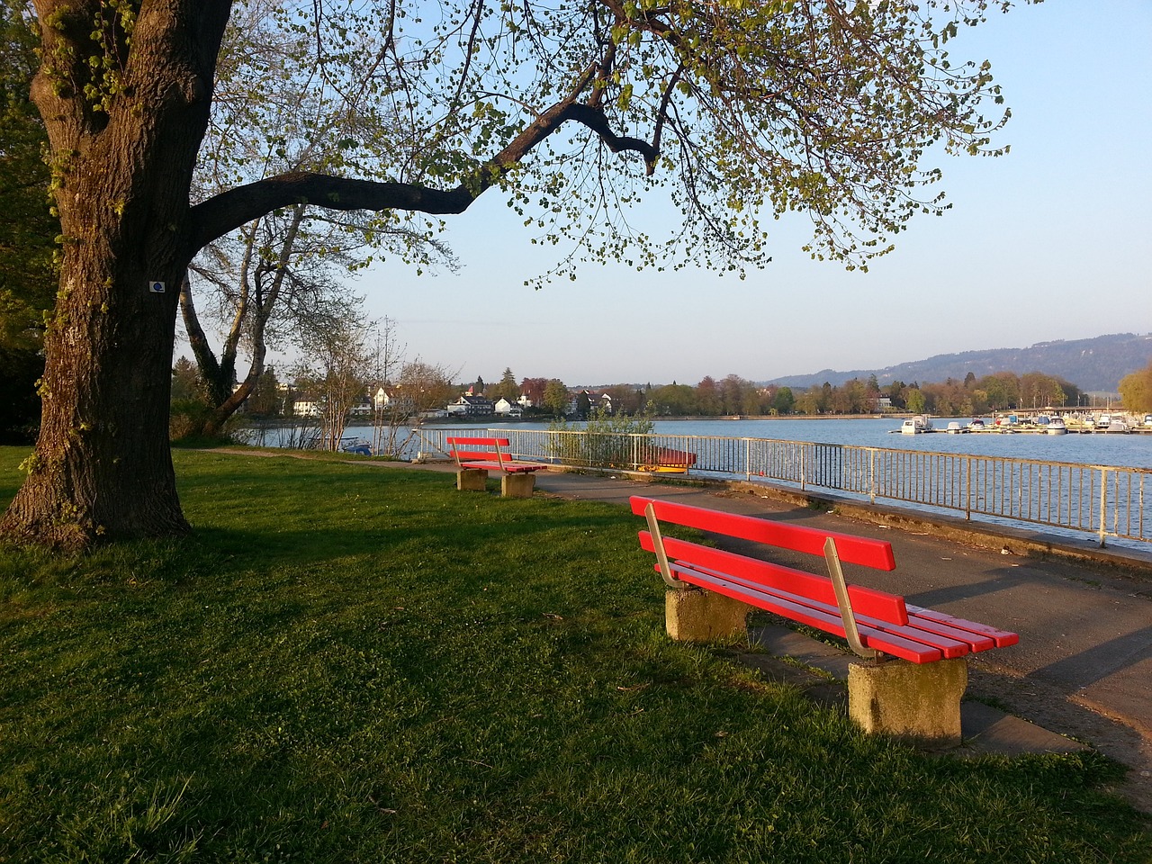 利益始终是 利益始终是